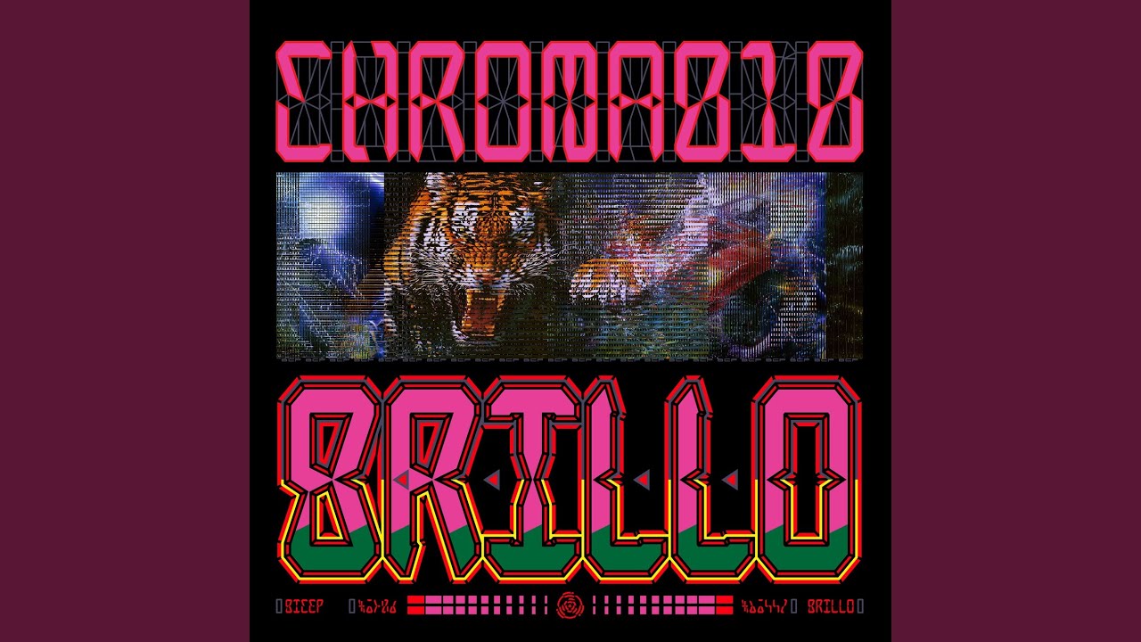 CHROMA 010 BRILLO