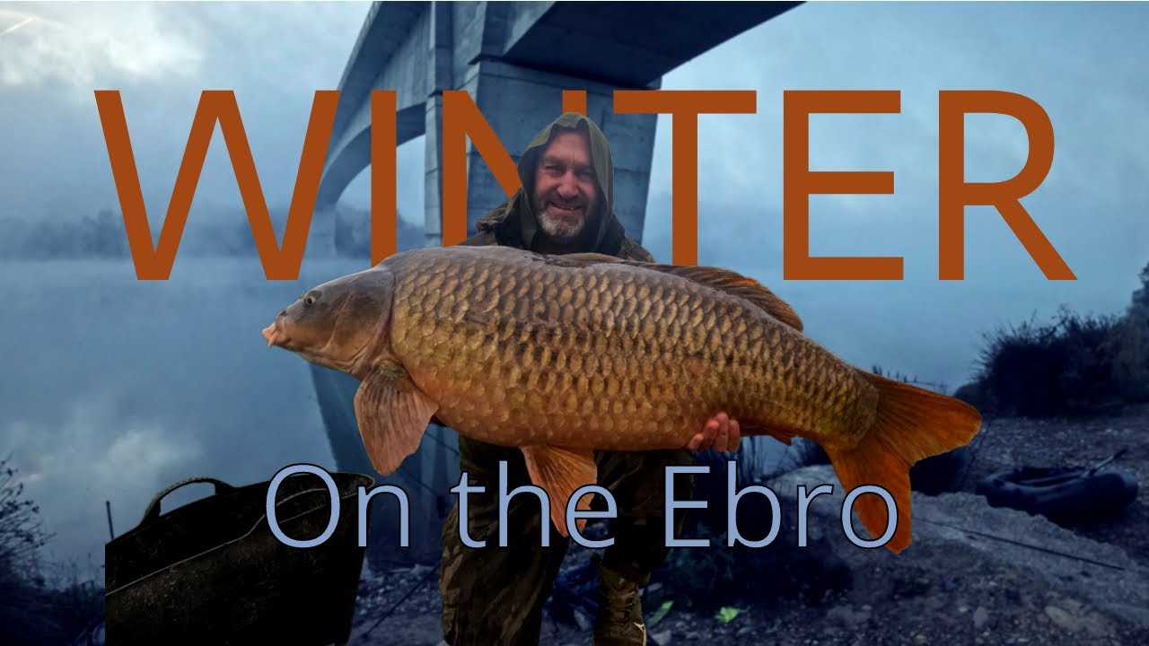 From Desolation to Delight | Winter Carp Fishing on the  Ebro River