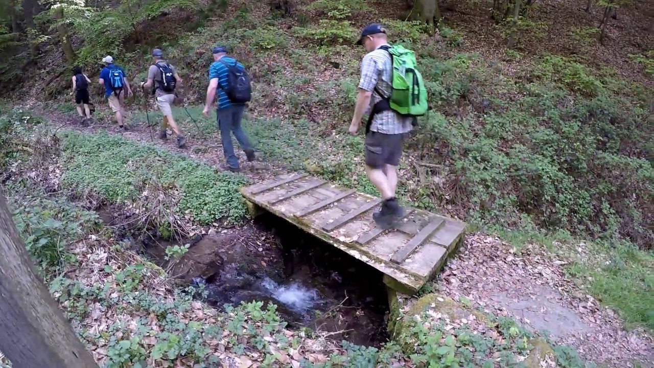 Wanderung : Moselsteig Seitensprung Graf Georg Johannes Weg