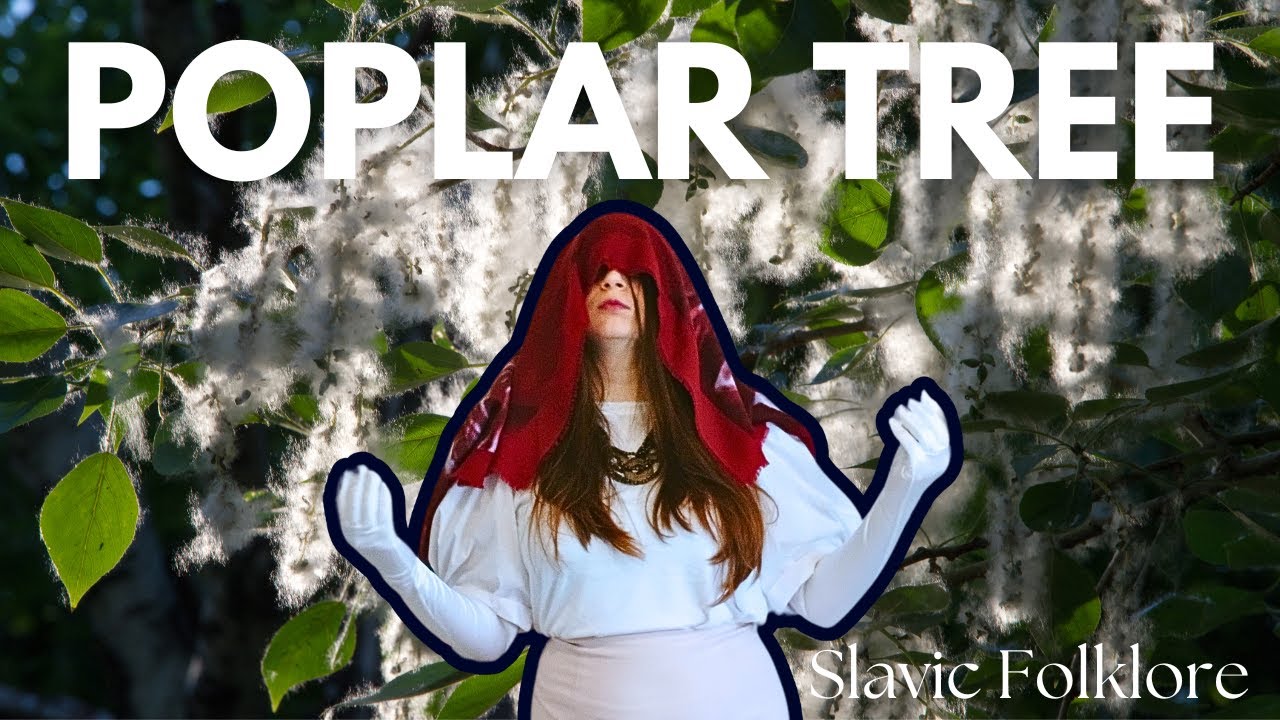 A Poplar Tree's Symbolism in Slavic Folklore