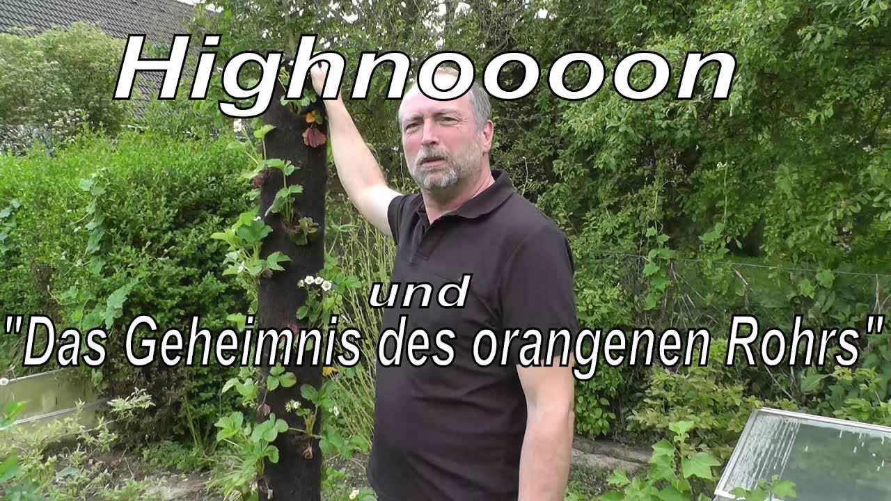 Highnoooon und  