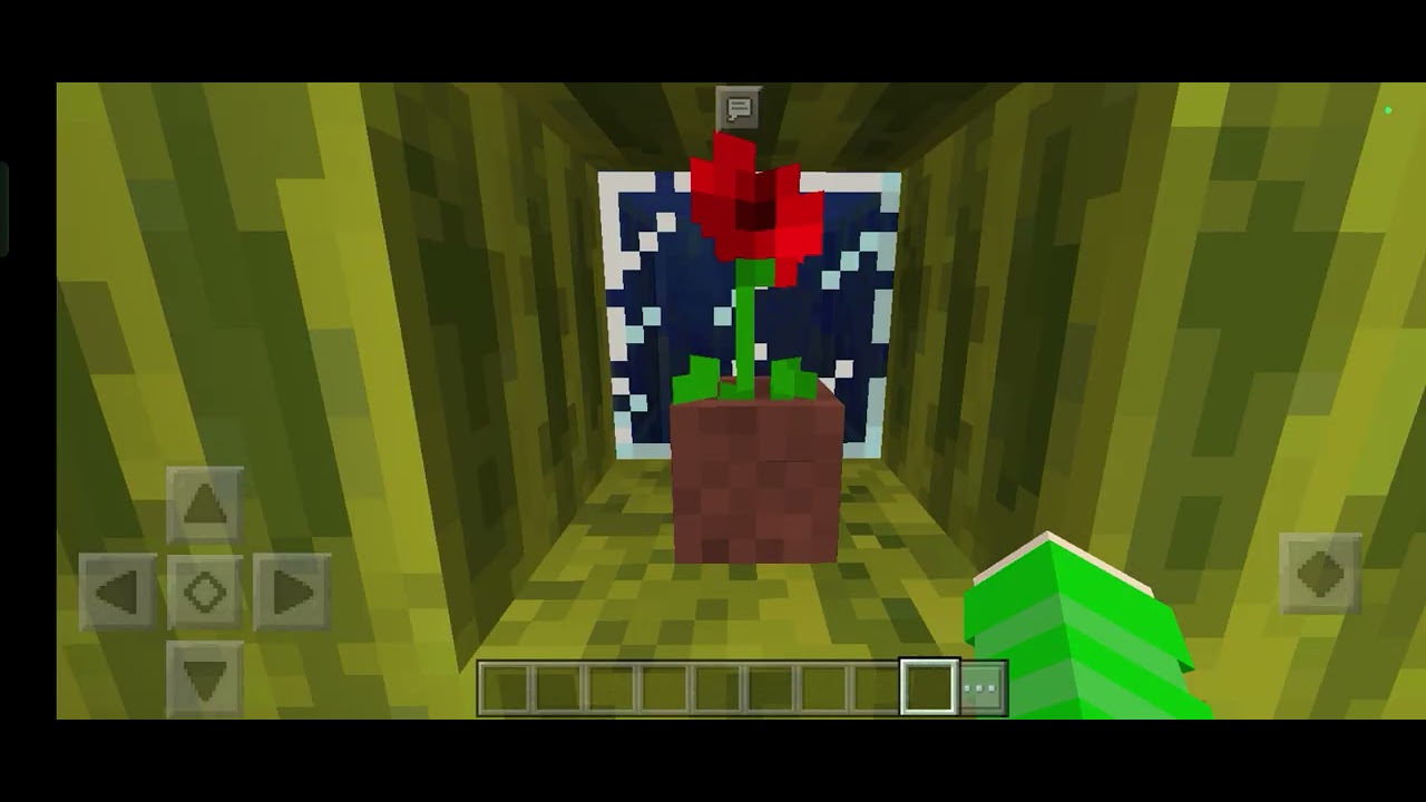 Main di bikini bottom 