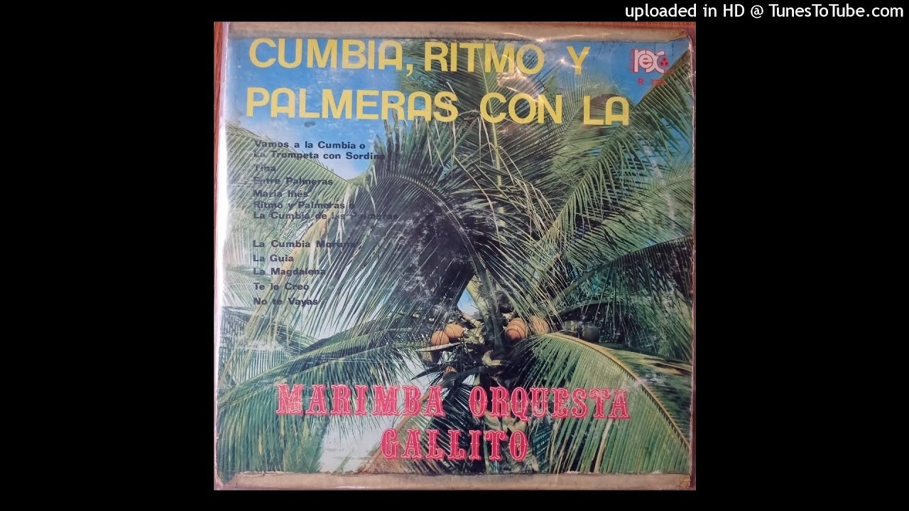 MARIMBA ORQUESTA GALLITO - TE LO CREO