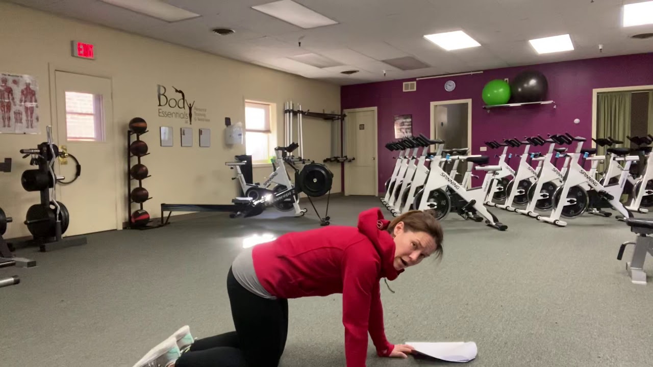 Cat-Cow/Downward Dog