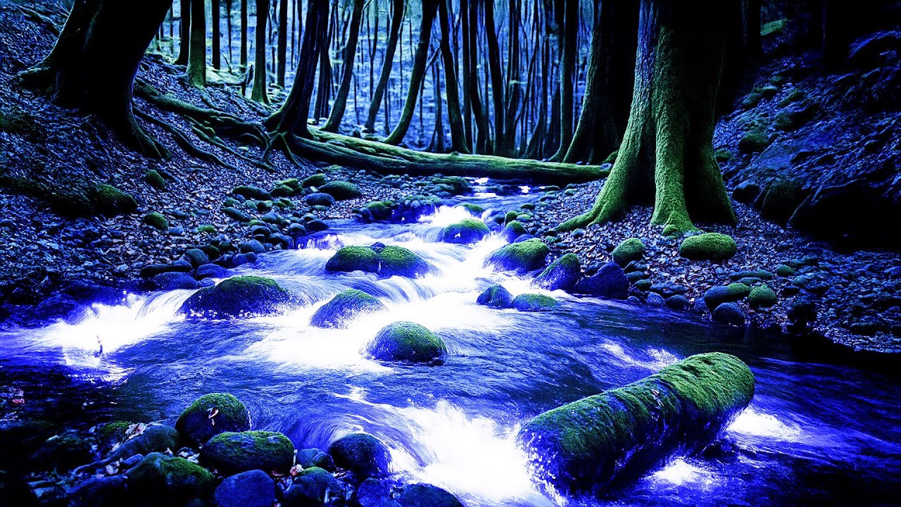 Emotional Detox: Healing Music for Inner Peace + Soothing Water Sound