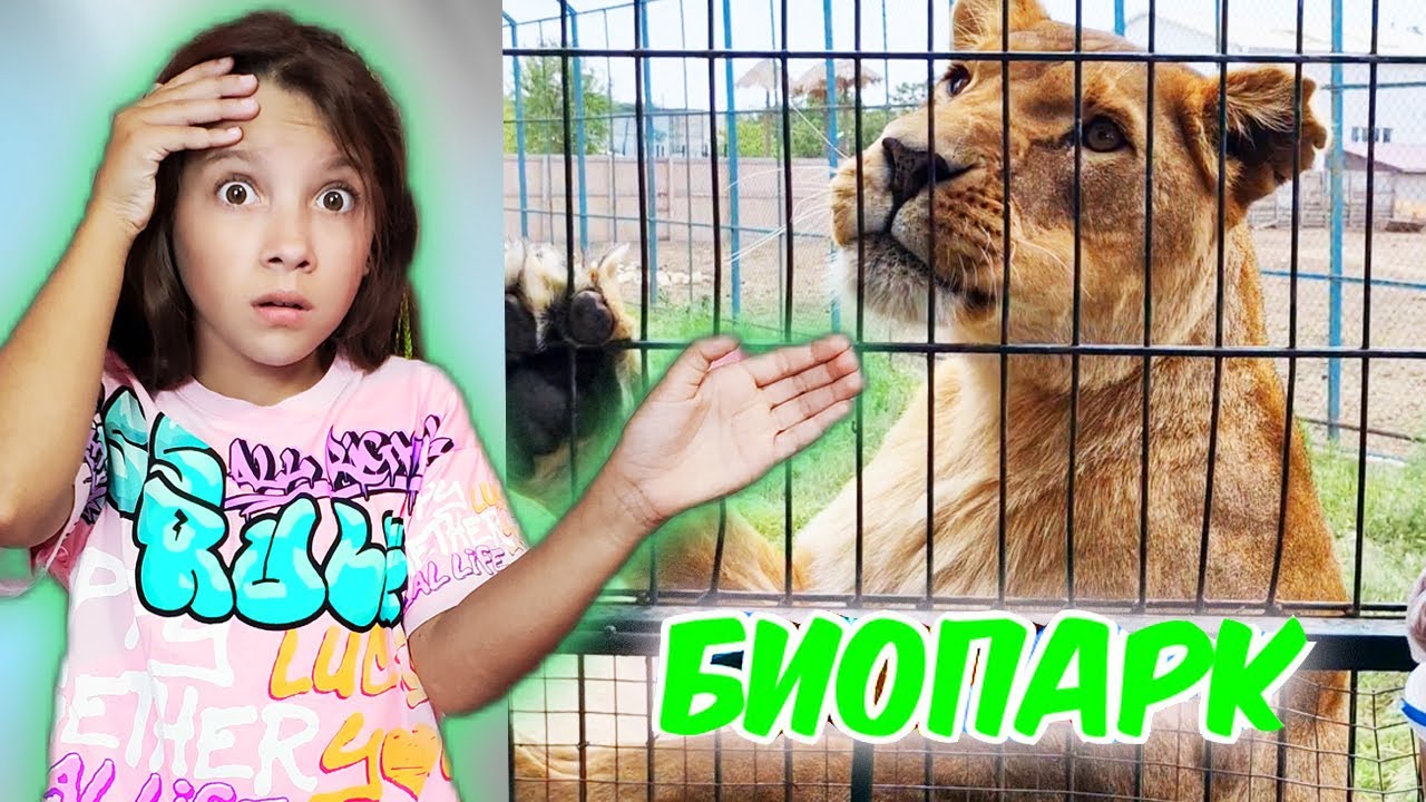 Тима и Маша КОРМЯТ ЛЬВОВ И ЖИРАФА ! БИОПАРК в Одессе !