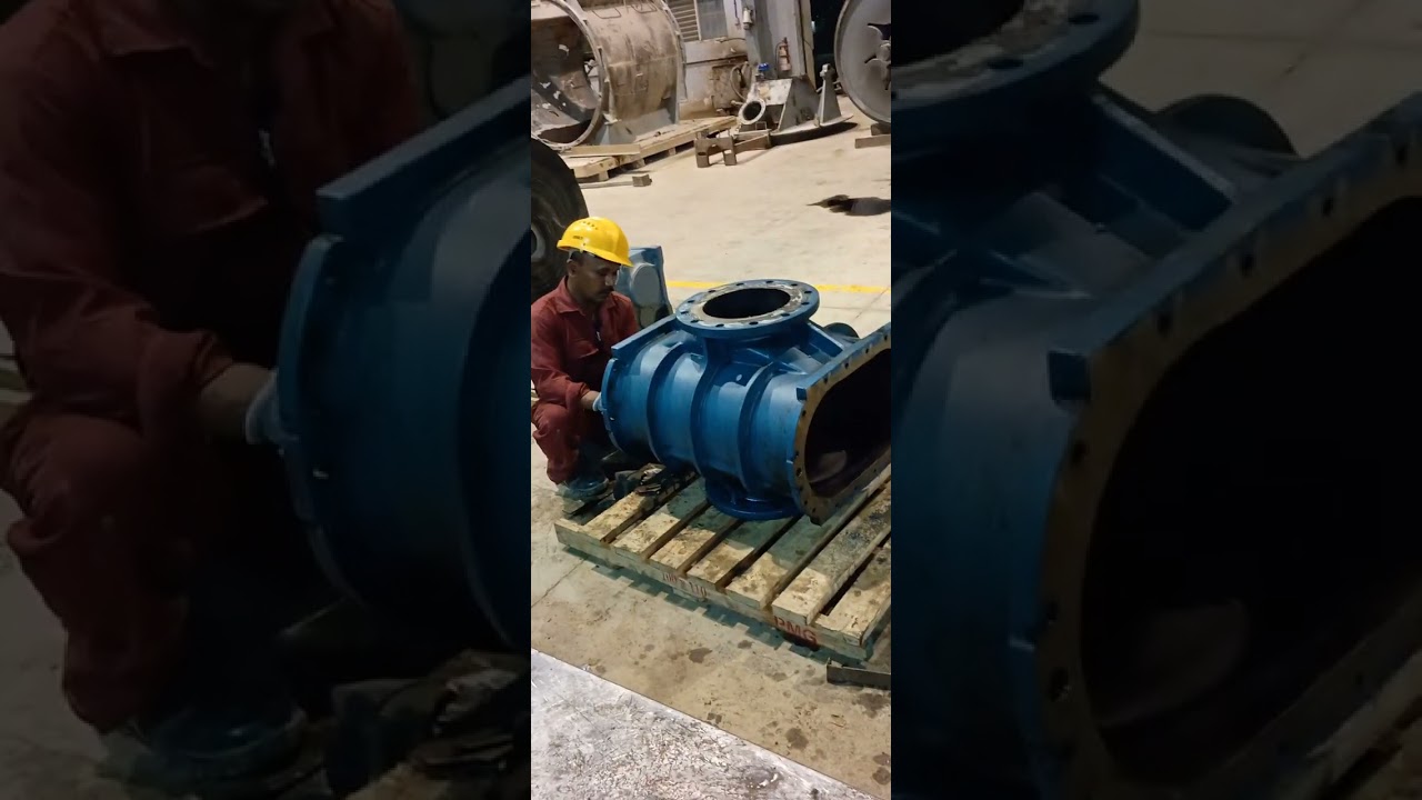 Robuschi Root blower (RBS 126/F-HT) assembly
