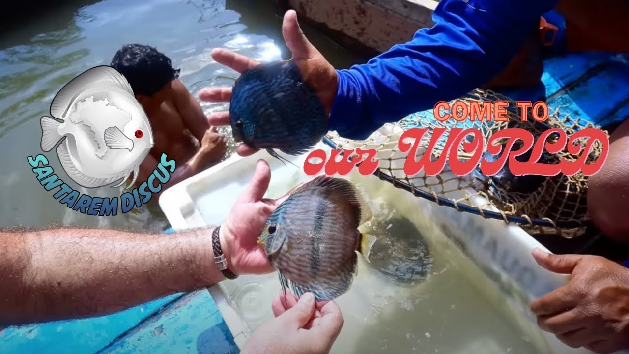 Amazon our World IN ONE EXPEDITION