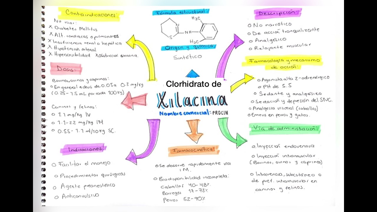 Clorhidrato de Xilacina