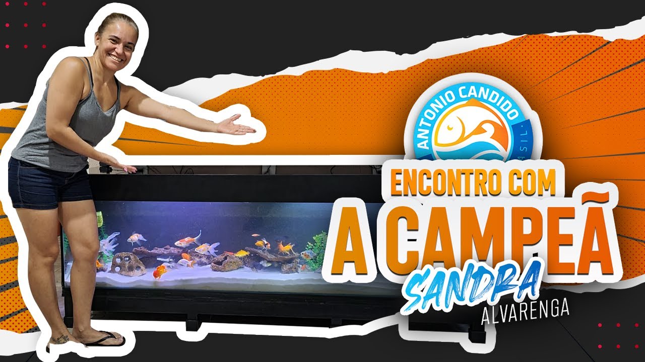 AQUARIO DE KINGUIO DE 2 METROS GANHADOR DE PREMIO DE AQUARISMO [Antonio Candido Aquarismo Brasil]