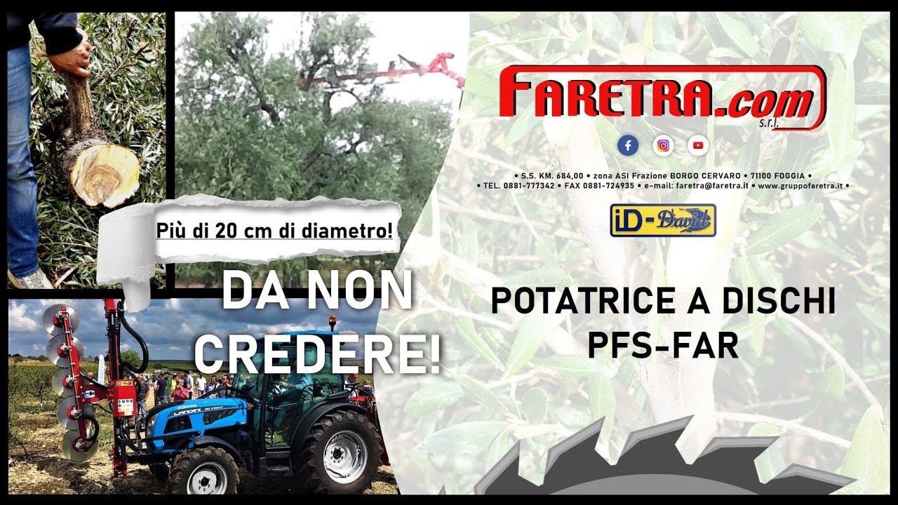 Potatrice a dischi ID-David PFS-FAR! ULIVETO, MANDORLO, QUERCE SECOLARI e non solo! DA NON CREDERE!