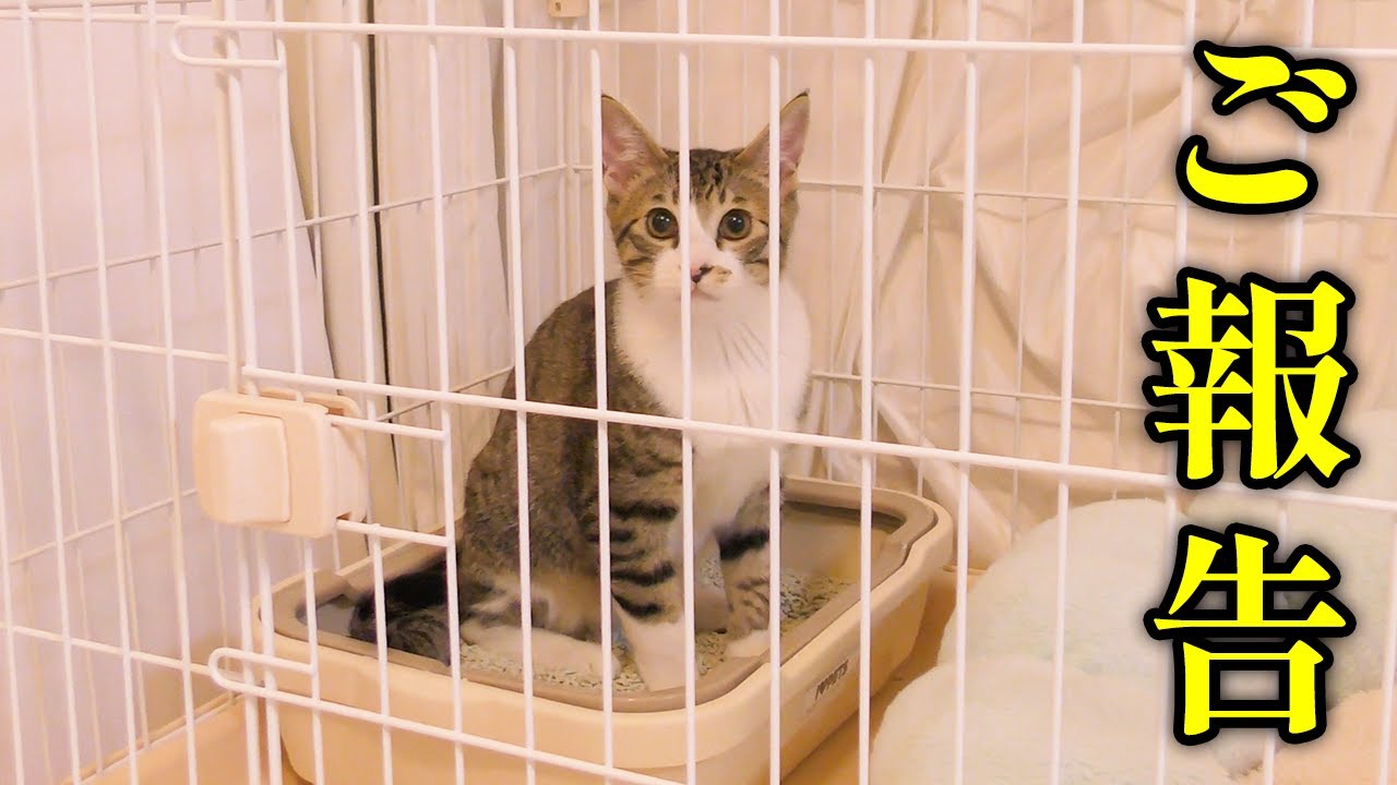 【ご報告】突然ですが家を追い出されることになりました...