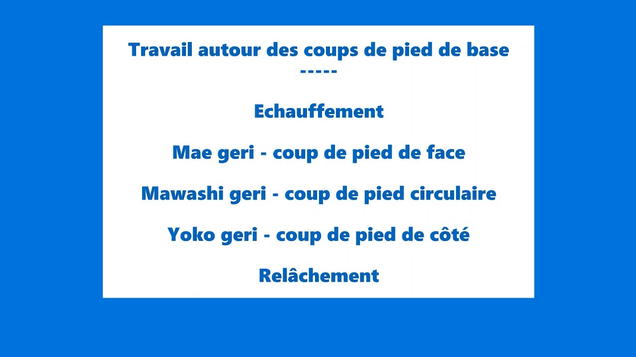 Travail autour des Coups de Pied de base