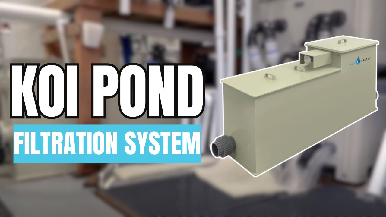 Koi Pond Filtration System | Aquadream