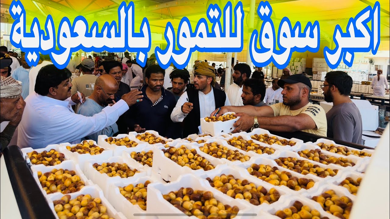 اكبر سوق للتمور بالسعودية حراج المدينة المنورة موسم 1447 الجوده والأنواع روثانة المدينة العجوة