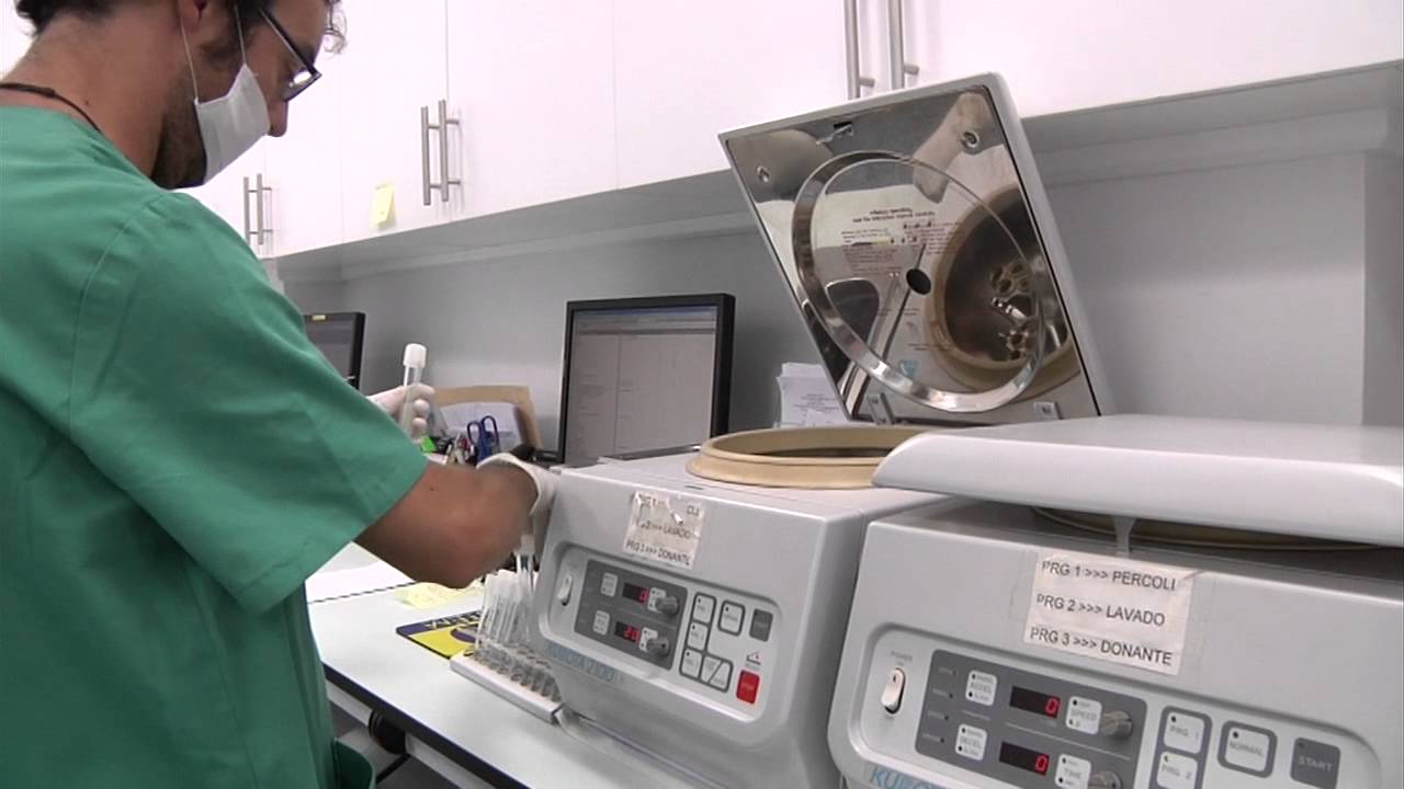 L'Insemination Artificielle - Ginefiv Clinique