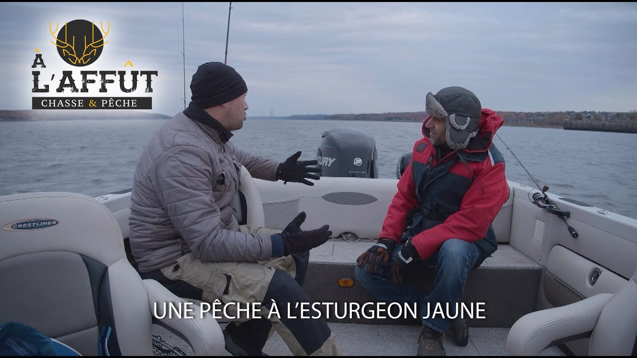 À l'affût: Pêche à l'esturgeon jaune