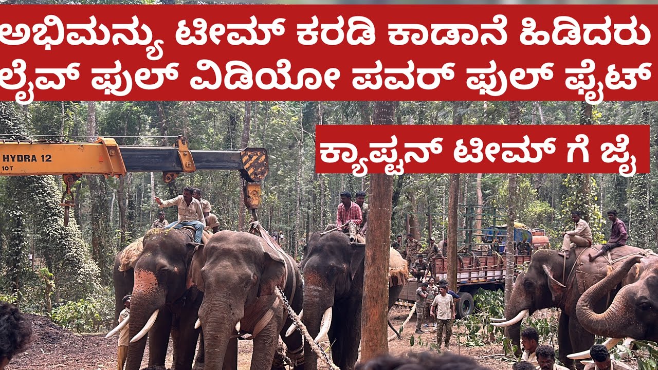 ಅಭಿಮನ್ಯು ಎಂಟ್ರಿ ಟೀಮ್ ಕರಡಿ ಕಾಡಾನೆ ಅರೆಸ್ಟ್ ! ಮುದ್ದು ಭೀಮ ಲೈವ್ | Abhimanyu team karadi elephant today