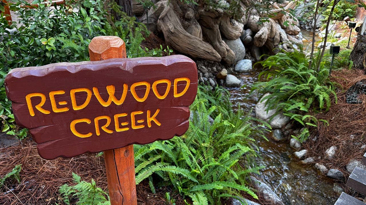 Redwood Creek Challenge Trail | Disney California Adventure