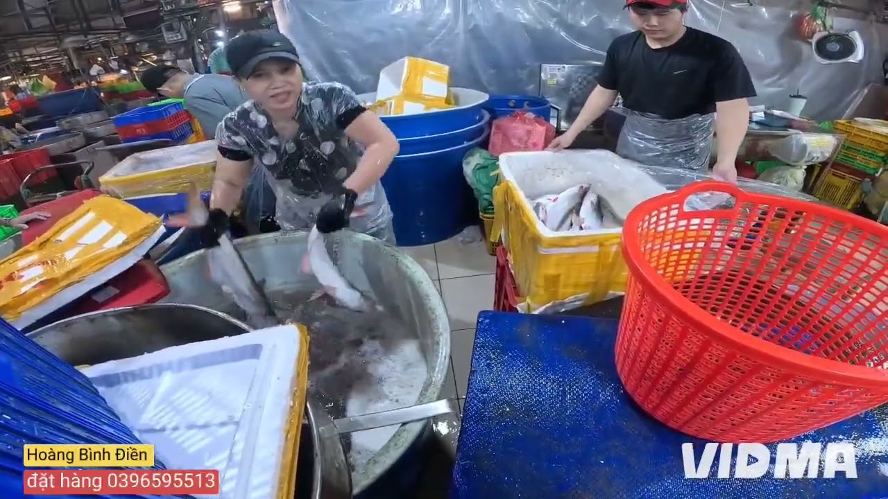 Tôm đang tới nước lên chợ quá trời. Giá Hải Sản ngày 4/2