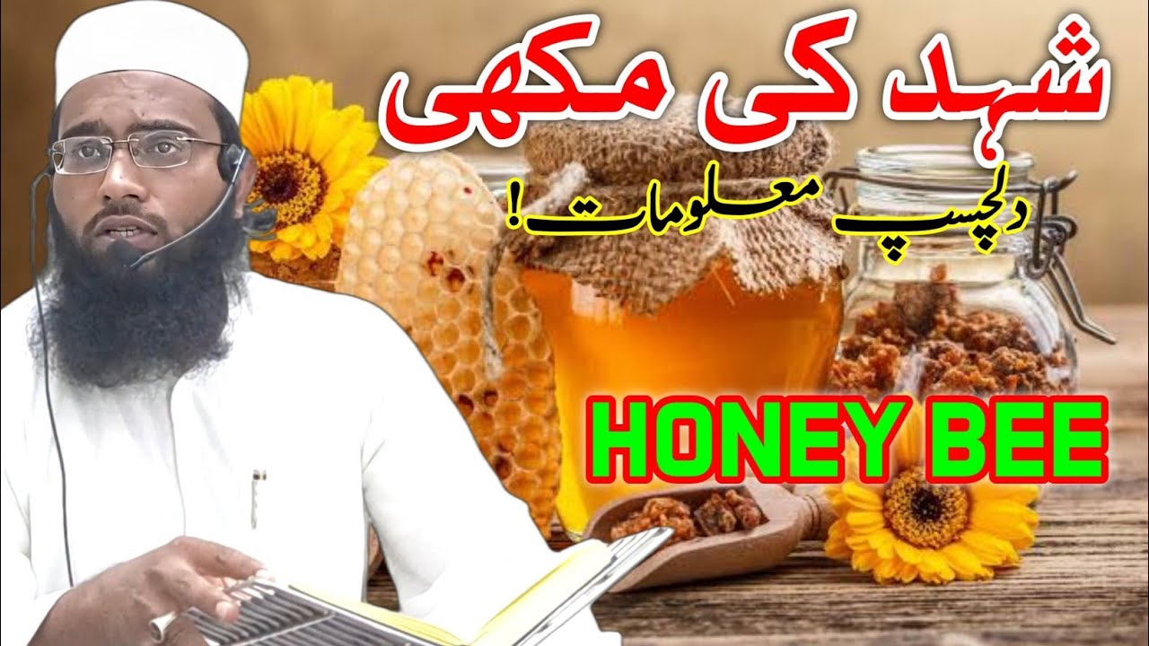 Honey Bee (Interesting Knowledge) #darsequran #ramadan #honey #muftishaikhdawoodnadvi 