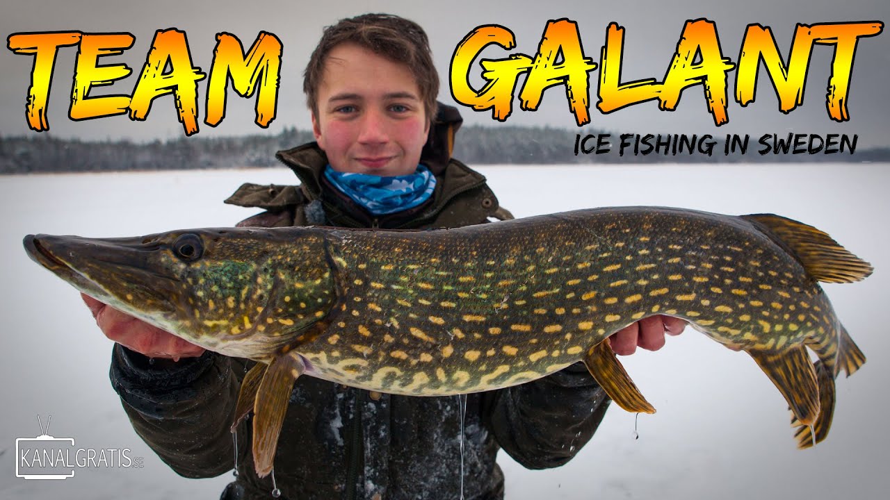 Ice Fishing in Cold Sweden (Flag Runners) | Team Galant (English Subtitles)