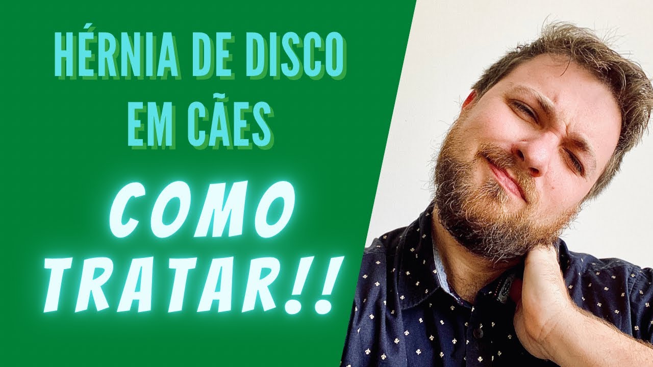 HÉRNIA DE DISCO EM CÃES - Como tratar?
