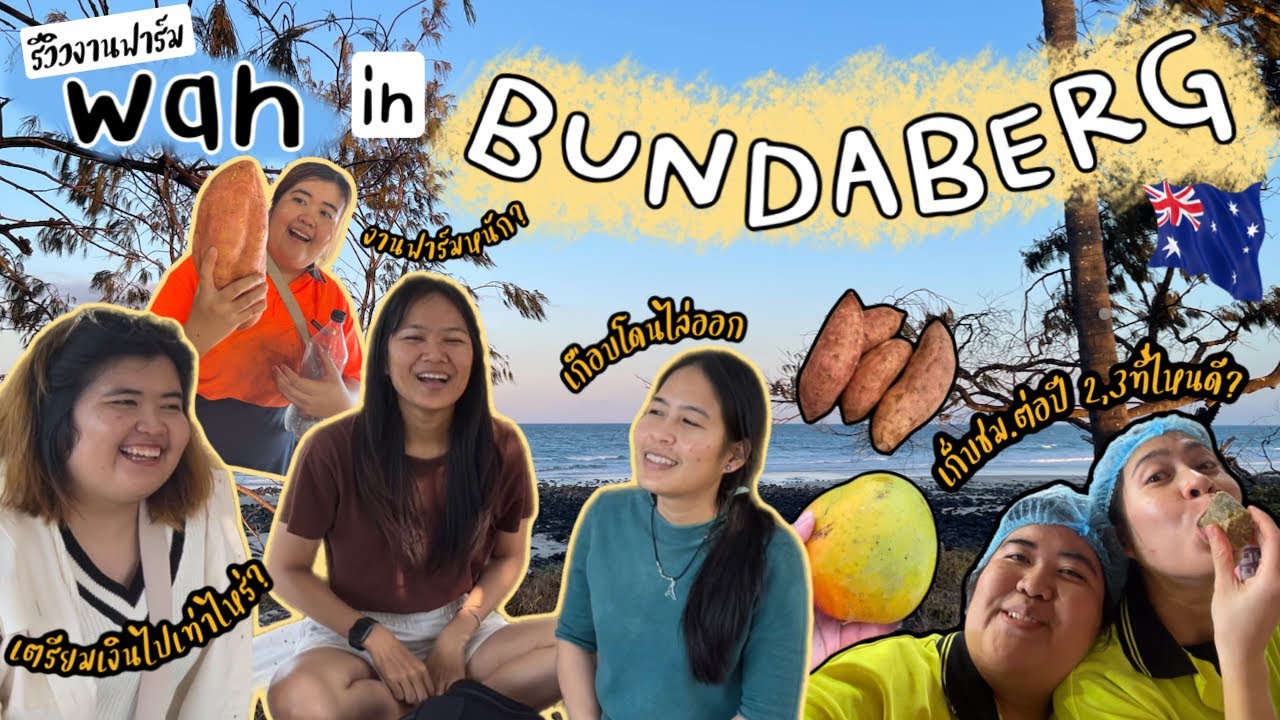 รีวิวงานฟาร์มในออสเตรเลีย🇦🇺,แพ็คมะม่วง,มันหวาน in Bundaberg || Work and Holiday