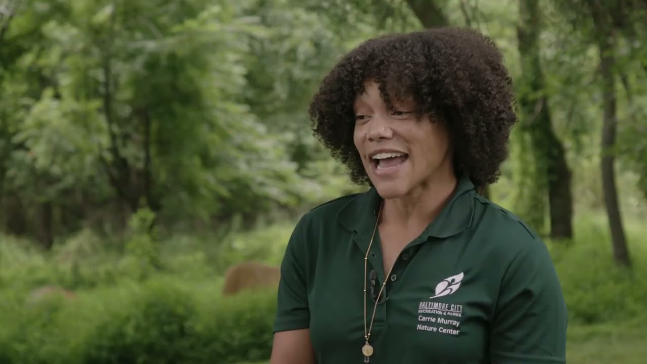 Hidden In Plain Sight  - Gwynns Falls Leakin Park