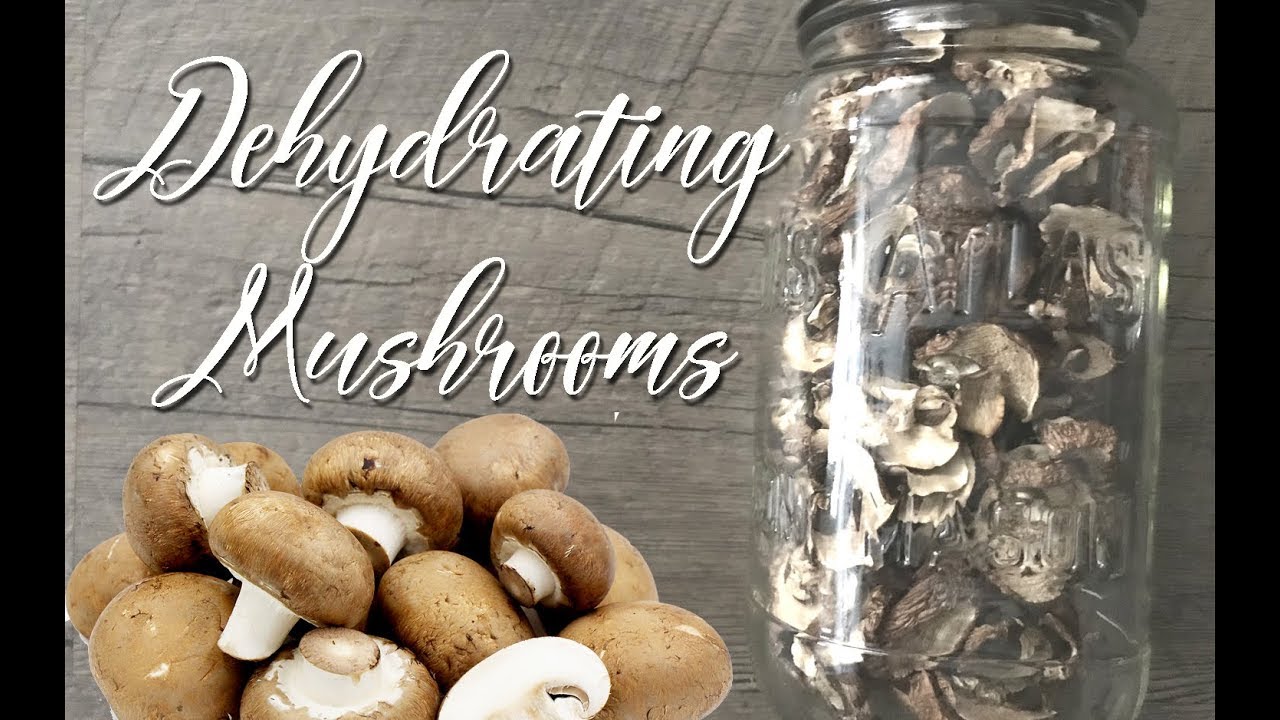 Dehydrating Mushrooms for Long Term Food Stroage