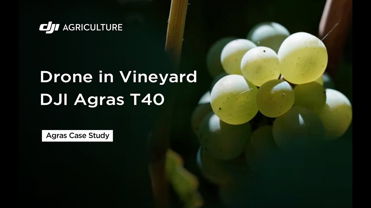 AGRAS T40 in Vineyard in Chile | DJI Agras Case Study