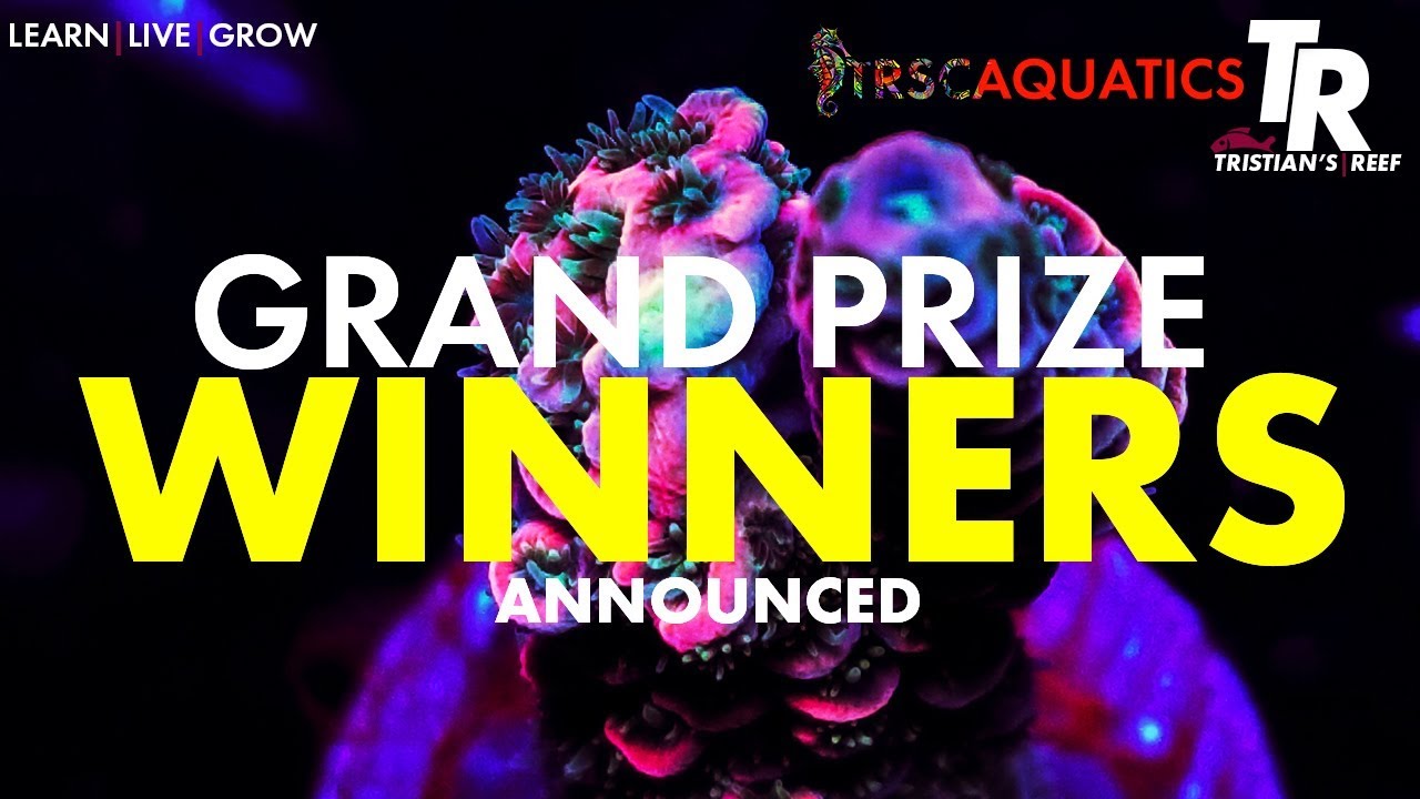 Tristian's Reef: TRSC Grand Prize Winners Announced #allmymoneygoestocorals
