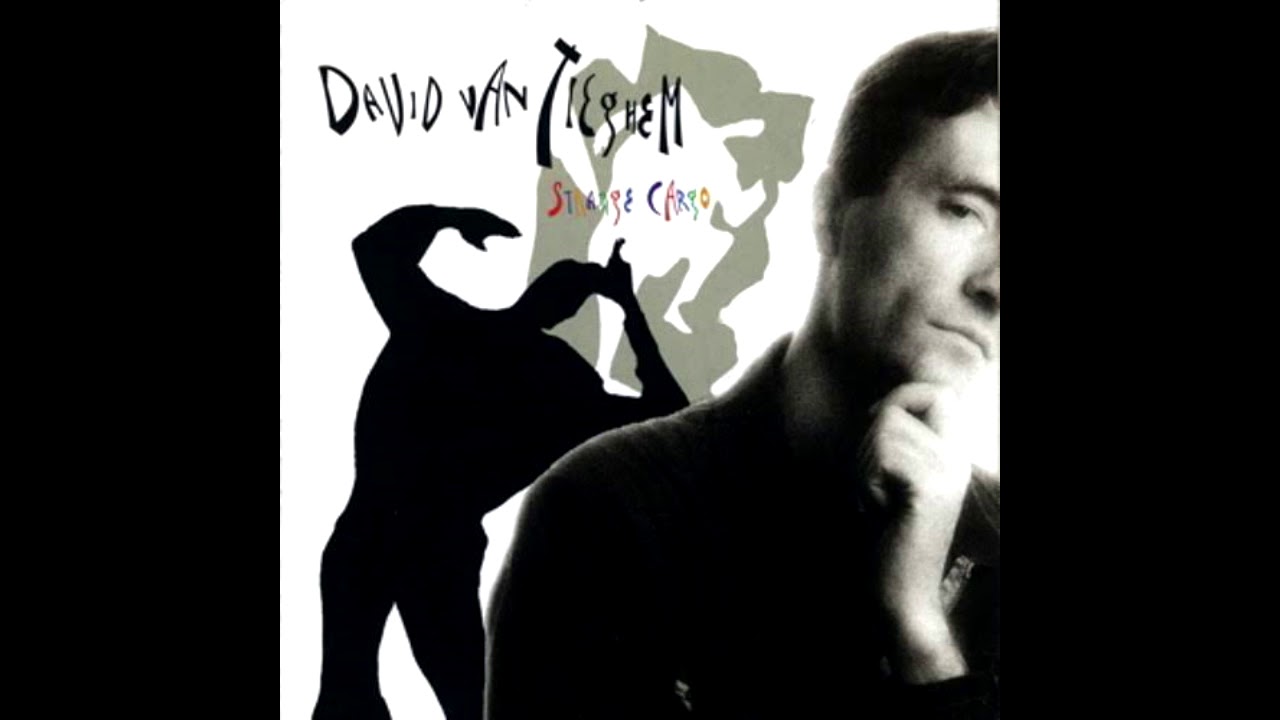 David Van Tieghem - Flying Hearts