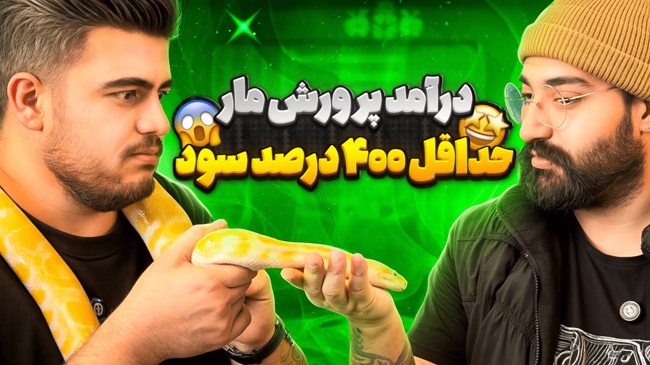 سود آوری عجیبه پرورش مار ! 🐍 مگه میشه ؟