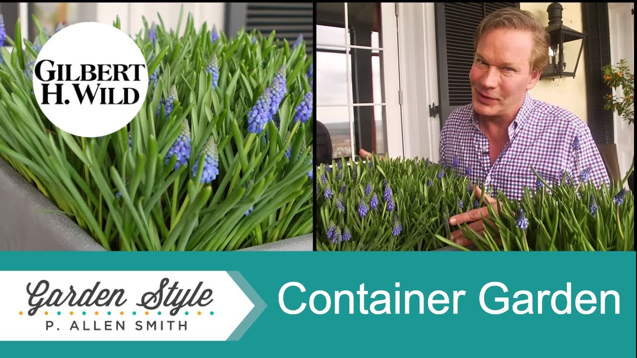 Tips & Ideas for Gardening in Containers | Garden Style (1809)