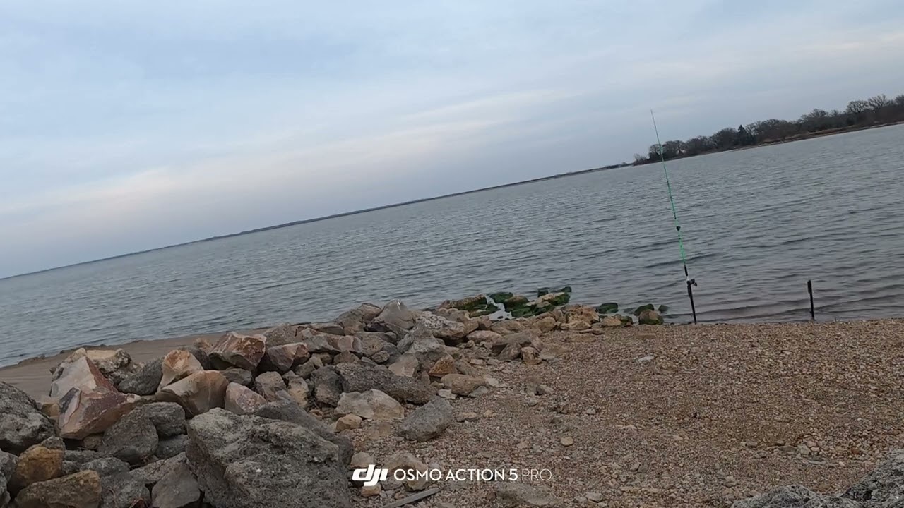 #fyp #fypシ #fypシ゚viral #fishing #catfishing #angler #fishingvideo #fishinglife #fishon #lake 