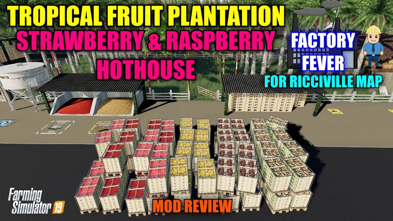 Fruit Plantation & Berry Hothouse 