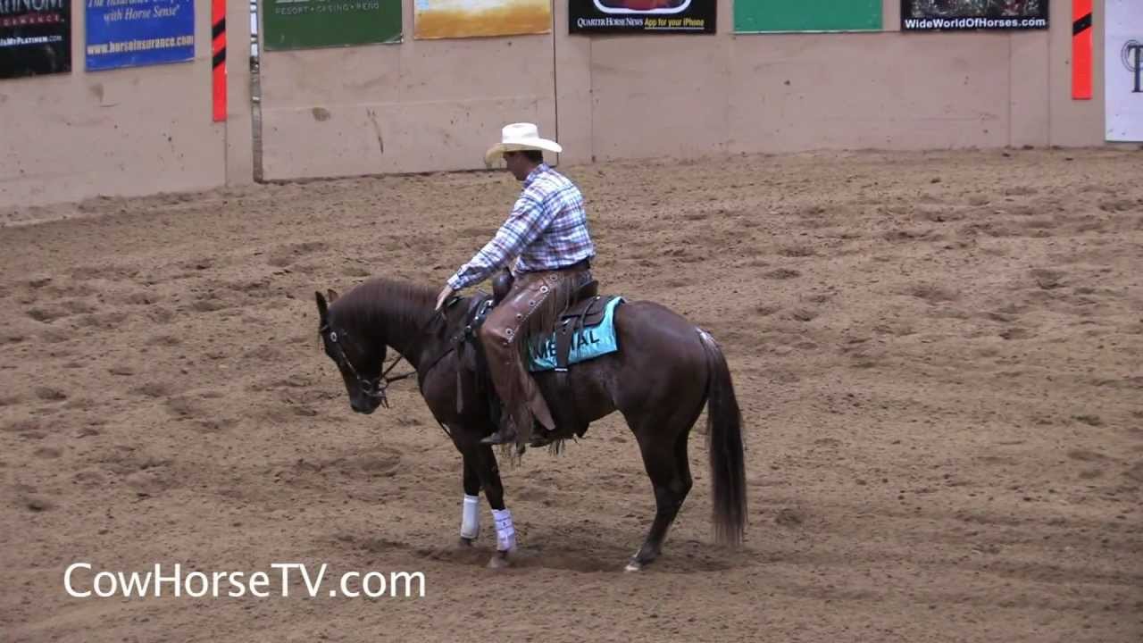 Luke Jones: Advice for New Cow Horse Trainers