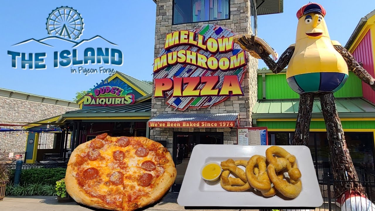 Mellow Mushroom Review And Our Day At The Island  Pigeon Forge Tn