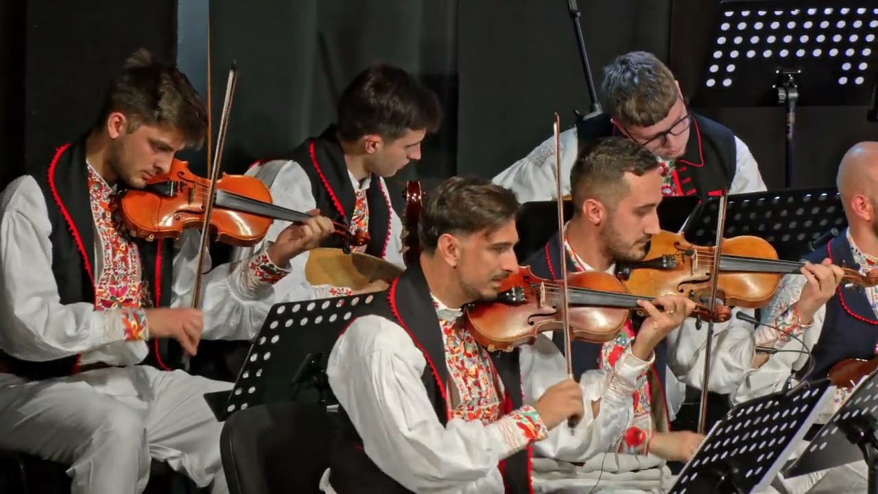 Tatarov drmeš - orkestar KUD-a Preporod