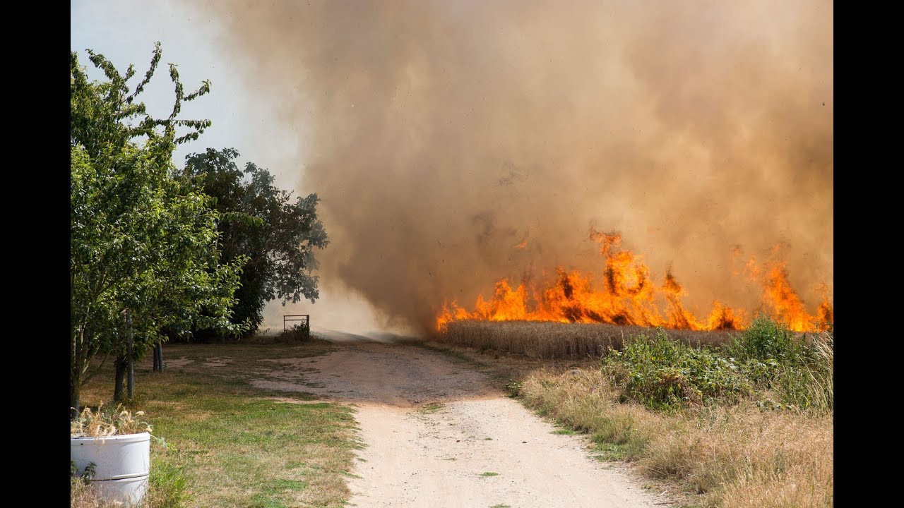 120.000 Quadratmeter Feld bei Hochheim in Flammen