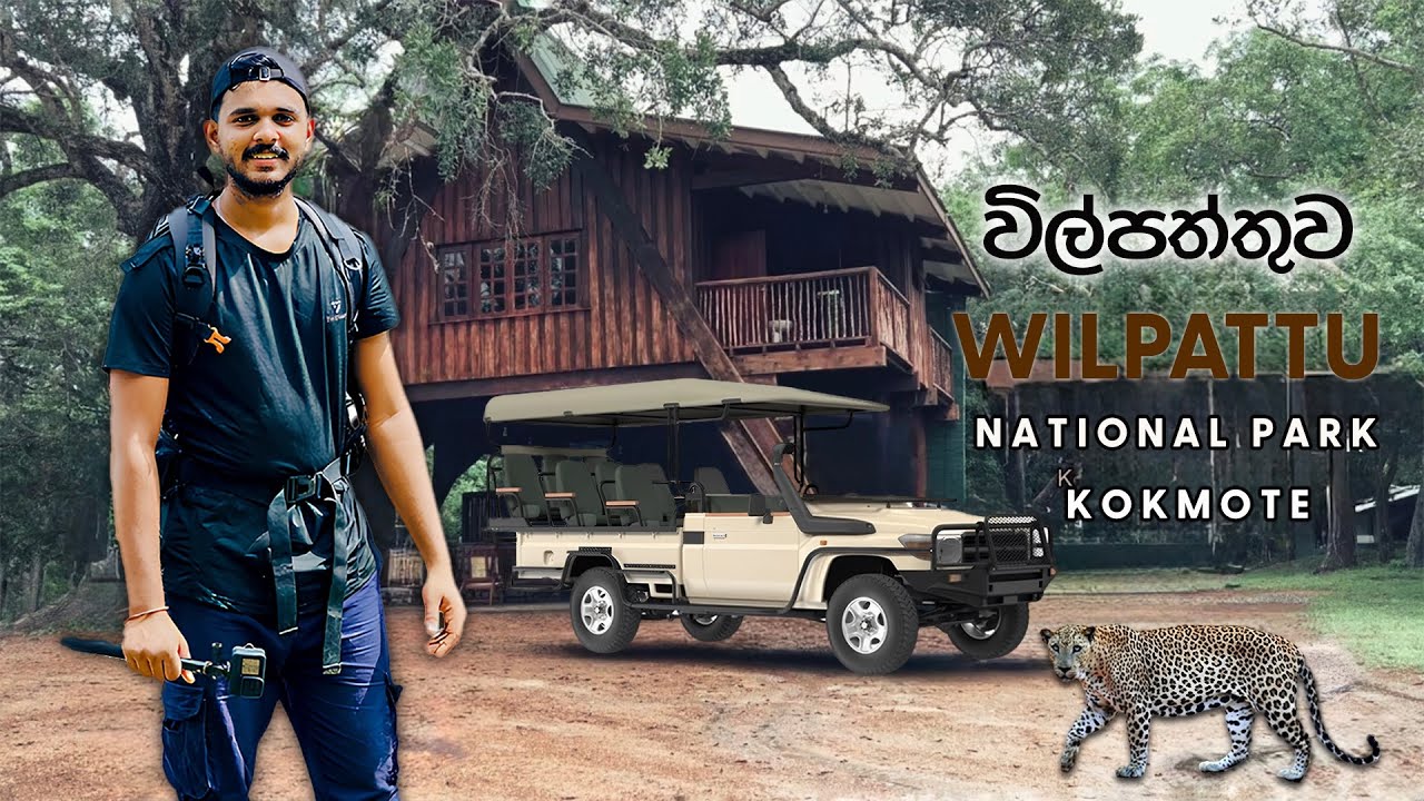 Wilpattu National Park |ලංකාවේ විශාලතම වනාන්තර මැදින් කොක්මොටේ බංගලාවට #wilpattu  #kokmote