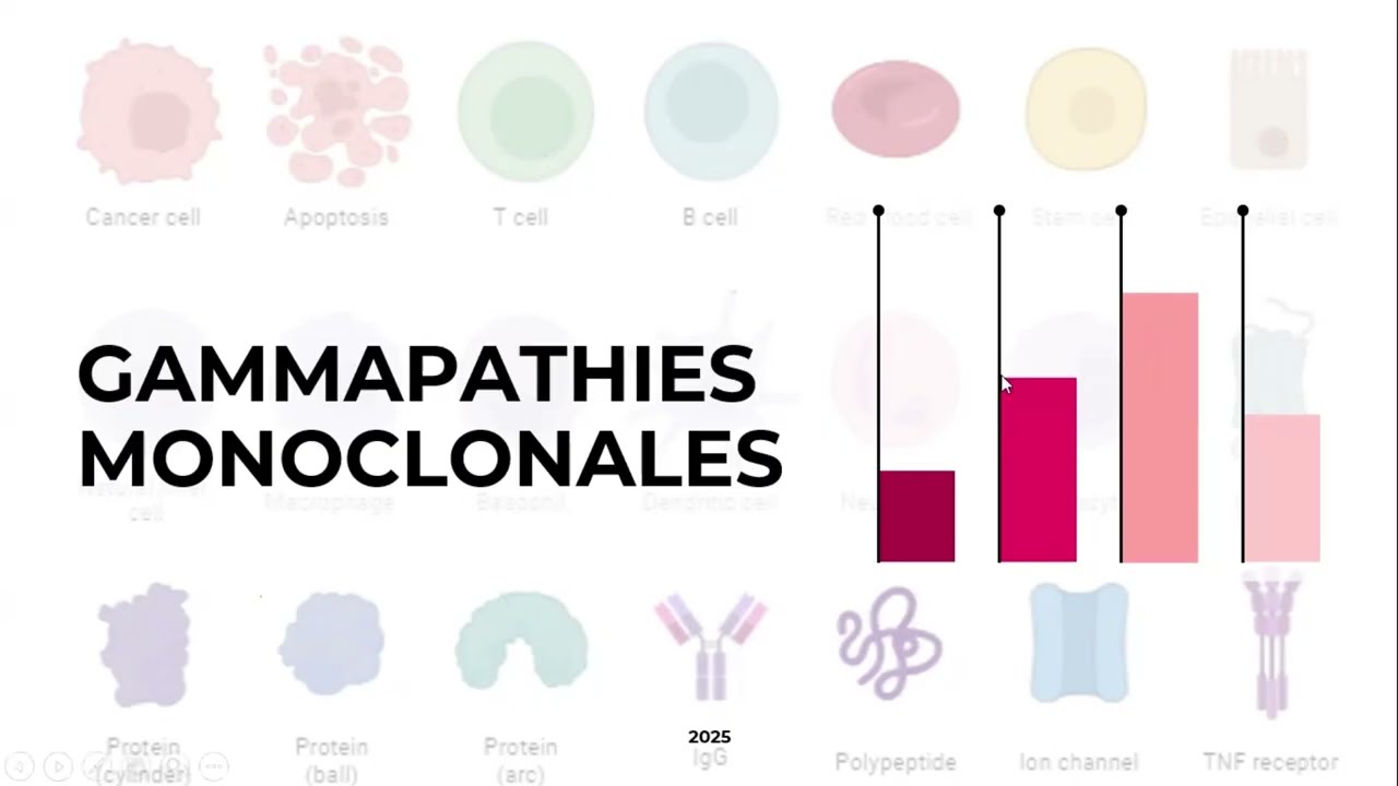 📍 Gammapathies monoclonales [partie 1] | #E9ra_berk #Immunologie with Dr HAMMA