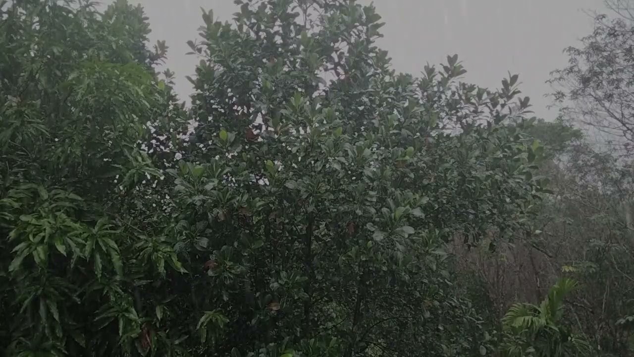 soothing sounds of rain and thunder | rain sounds