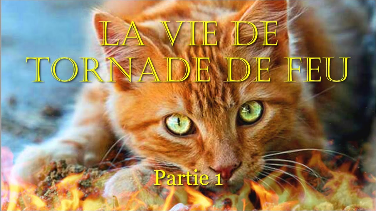 Mon histoire ~ La vie de Tornade de Feu ~ Partie 1