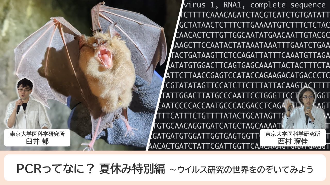 PCRってなに？ 夏休み特別編 ～ウイルス研究の世界をのぞいてみよう