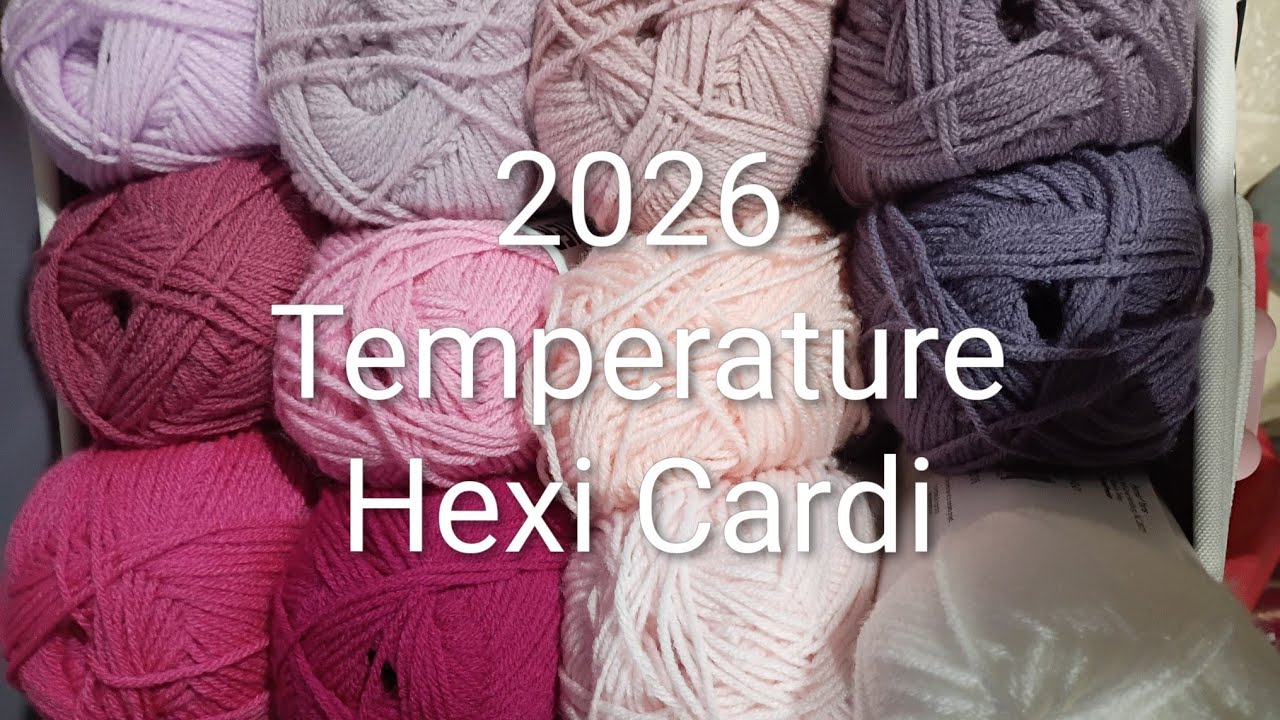 Мини-урок по кардигану Hexi Cardi в январе.