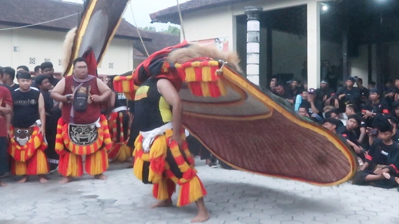 SPEKTAKULER ‼️ ATRAKSI KAYANG PEMBARONG REOG PONOROGO TERKUAT TAKLUKKAN DADAK MERAK TERBESAR 