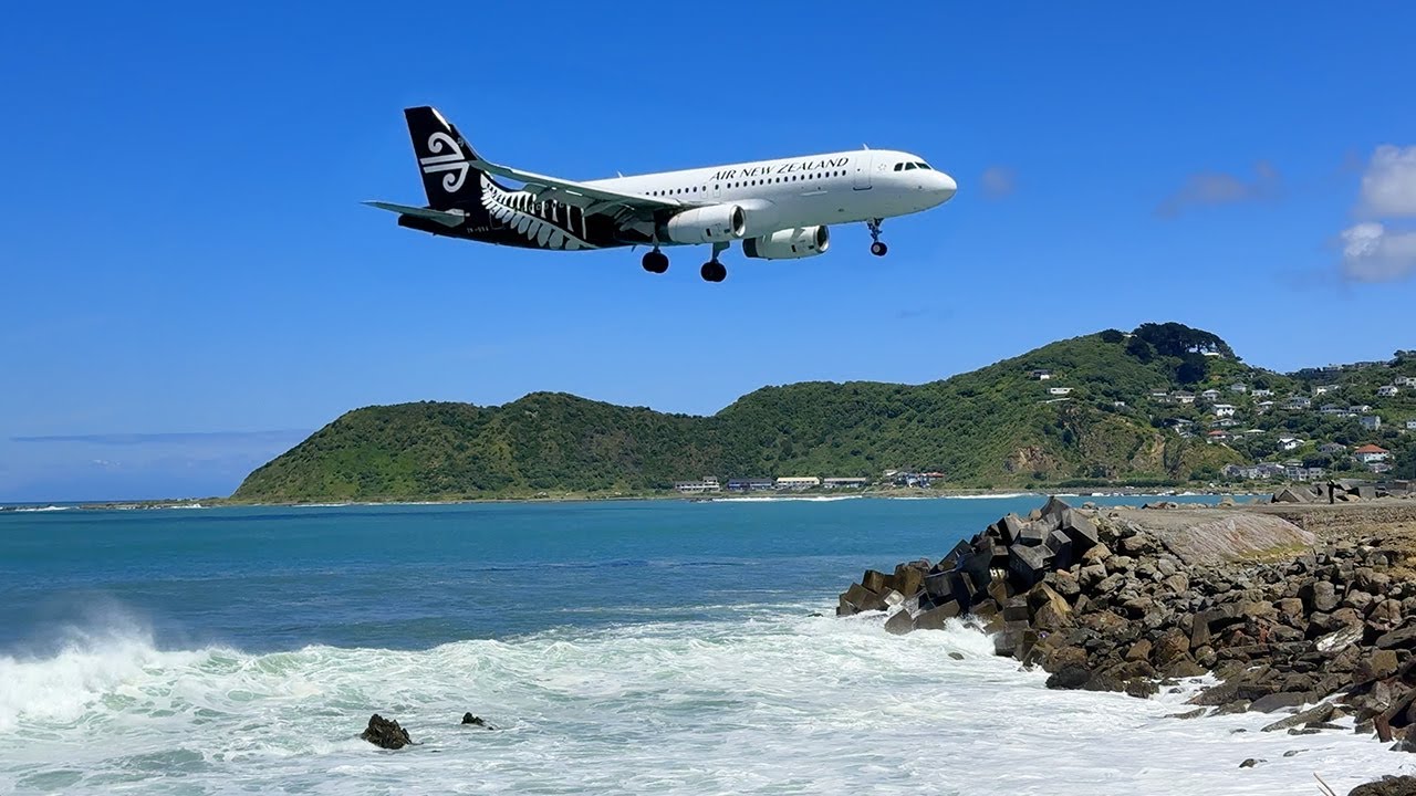 Airport on the Water | Landing in Wellington, New Zealand
