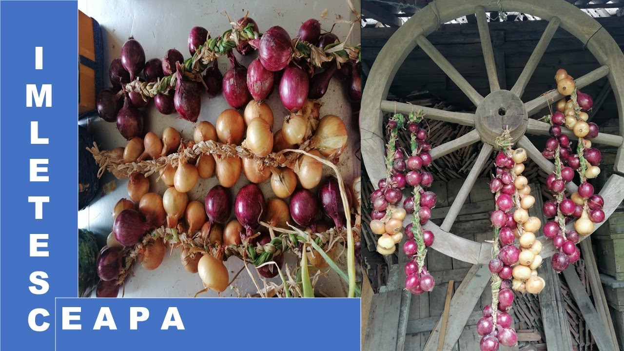 Impletesc  funia din ceapa/I weave the onion rope /July 2020